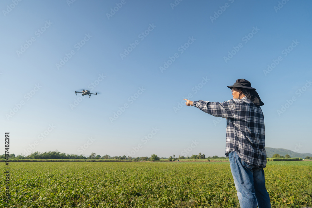 Man farmer in hat standing in green Sugarcane field and controlling of drone which flying above margin. Male using tablet device as controller. Man farmer in hat standing in green Sugarcane field and controlling of drone which flying above margin. Male using tablet device as controller.