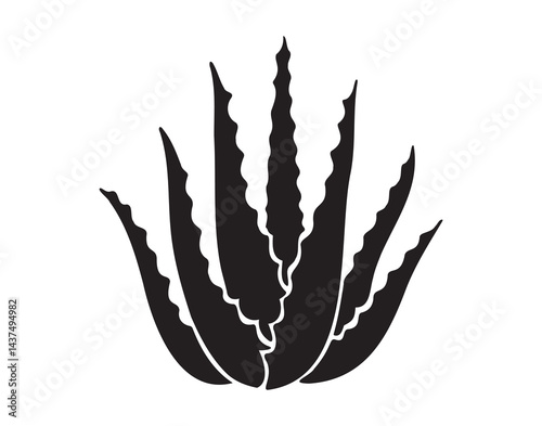 Aloe vera plant silhouette icon doodle hand drawn. Aloe vera logo drawing clipart symbol
