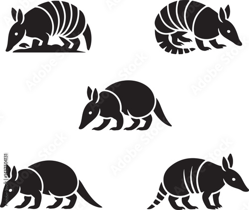 different armadillo species on a clean white background