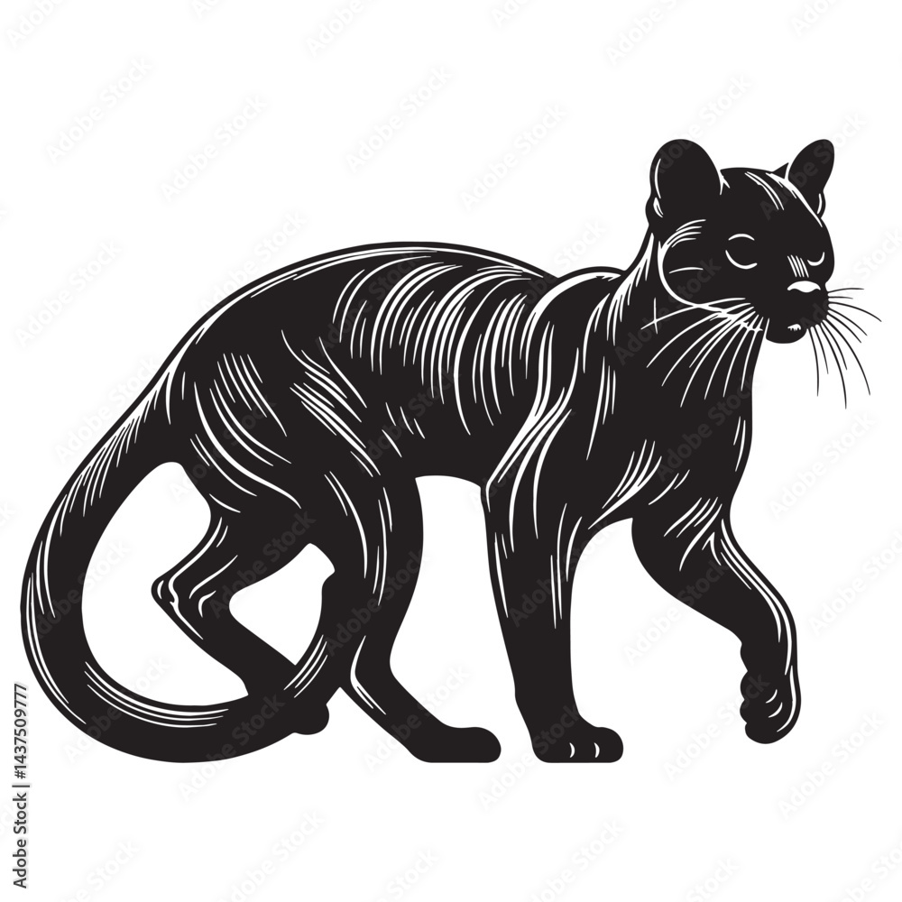 Obraz premium Clean-lined fossa silhouette perfect for professional digital designs, logos, and scalable branding – fossa silhouette – fossa vector – fossa illustration – silhouette of fossa