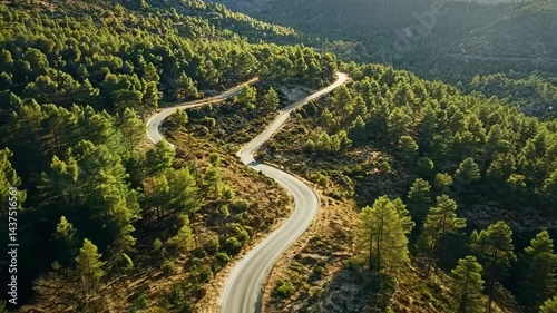 Serene mountain road journey through lush forested hills