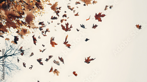 A tree with many leaves falling from it