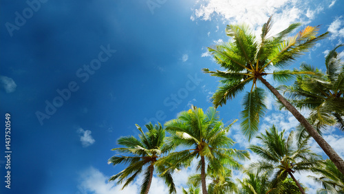 Upward View of Palm Trees and Azure Sky
