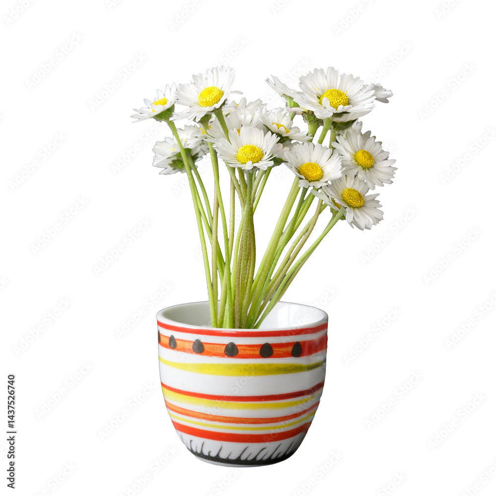 a small bunch of daisies
