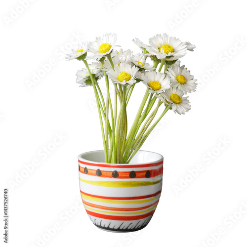 Obraz na płótnie a small bunch of daisies w salonie