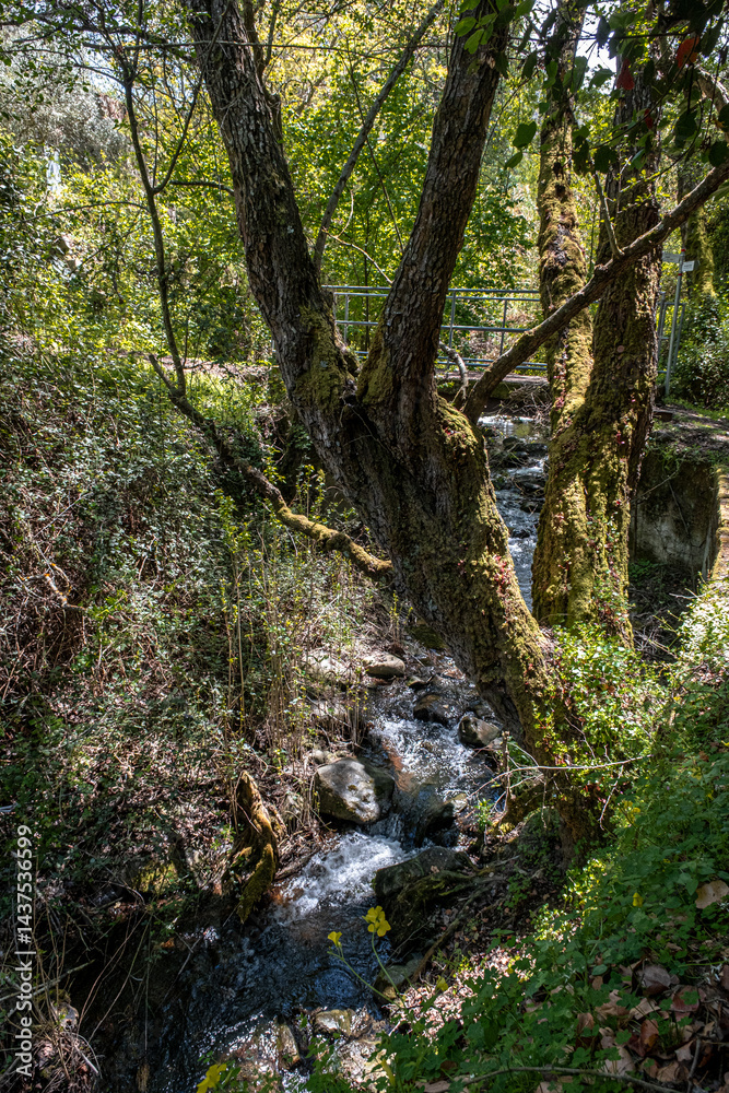 On the Trail in Marathasa Valley, beneath Kalopanayiotis Village in the Troodos Mountains, with the stream, the small waterfall, and Oikos Village views along the hike, Nicosia District, Cyprus. On the Trail in Marathasa Valley, beneath Kalopanayiotis Village in the Troodos Mountains, with the stream, the small waterfall, and Oikos Village views along the hike, Nicosia District, Cyprus.