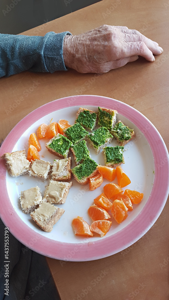 Plate of food in a retirement home. Toast with two kinds of spread, garlic pesto, and pâté. tangerine pieces.