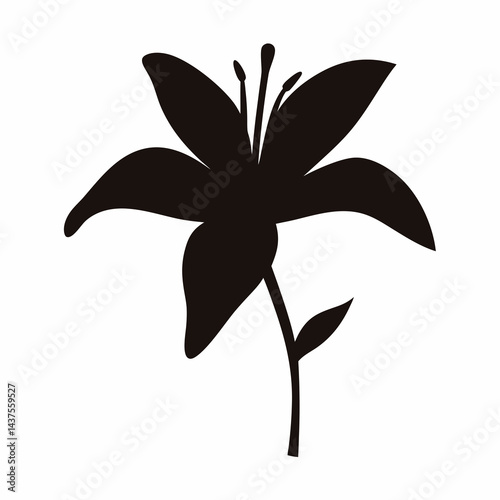 Beautiful  Lily Flower