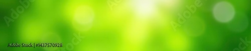 Blurred green foliage, bright sky bokeh, natural light,  photo,  background,  blur