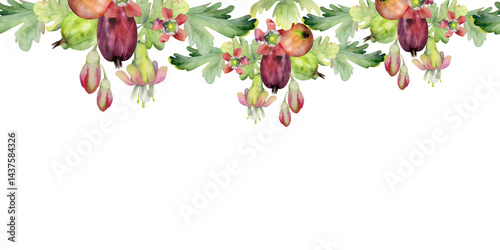 Gooseberry Currant berry, bell flower buds, leaves boutonniere ripe garden casseille jostaberry. Hand drawn in watercolor. Isolated seamless banner border garland. Cafe menu, farmers market, florist
