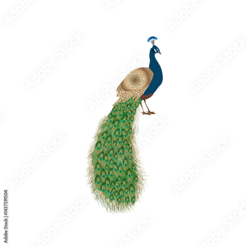 Moroccan decorative floral wallpaper with peacock, dates tree, plant seamless pattern
