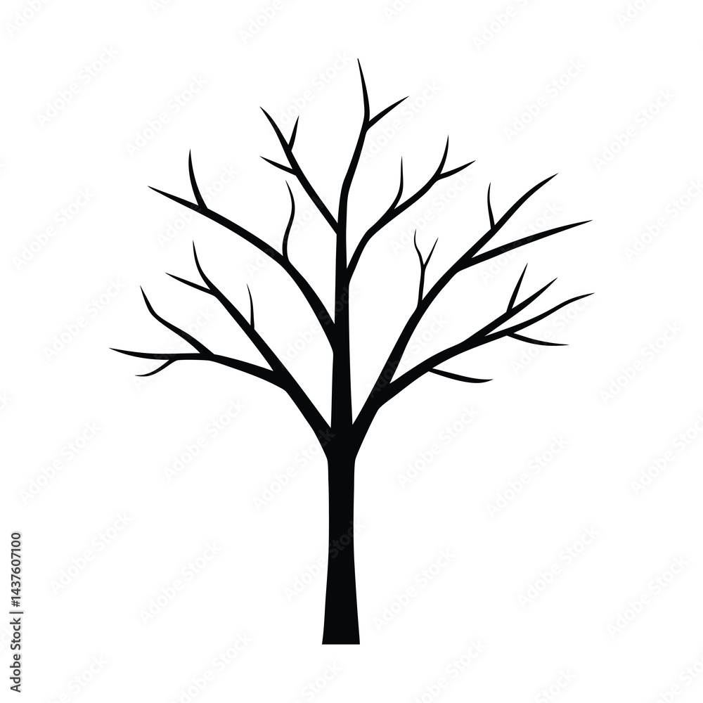 Obraz premium Adobe Illustrator Artwork