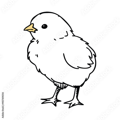 Vector chicks black and white isolated image 