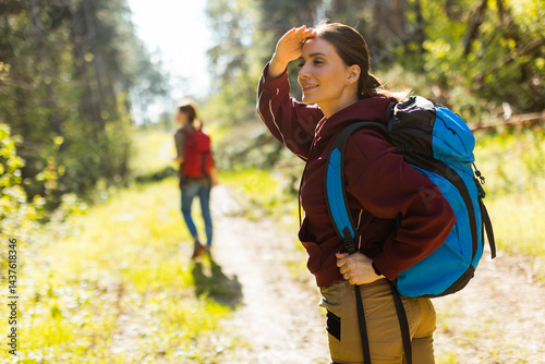 Exploring a sunlit forest t...