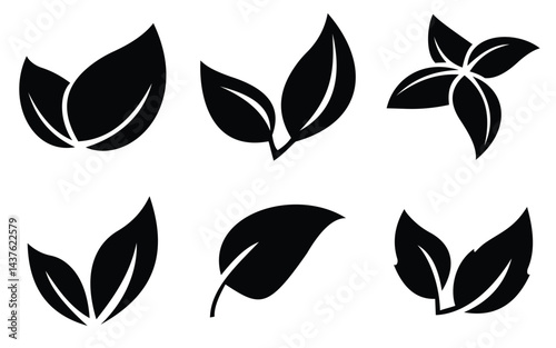 leaf 15