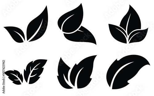 leaf 17