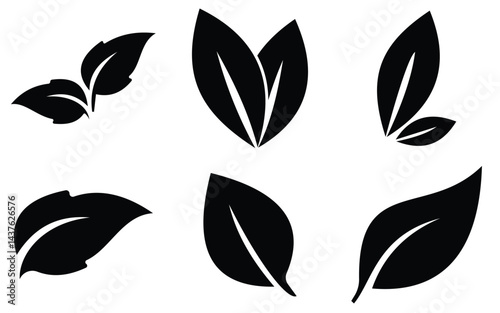 leaf 20