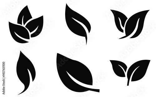 leaf 27