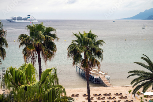 Obraz na płótnie French Riviera beach view with palm trees w salonie