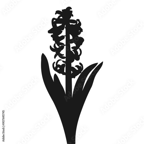 Blooming Hyacinth Plant Spring Flower Silhouette