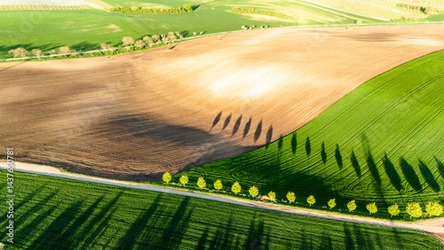 Lush Green Fields and Farmland – Scenic Rural Aerial View