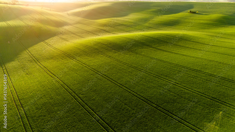Abstract Patterns in Farmland Fields – Aerial Spring Landscape
