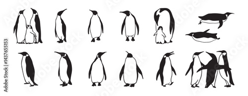 penguin logo doodle hand drawn icon set. Outline drawing penguin line clipart symbol collection