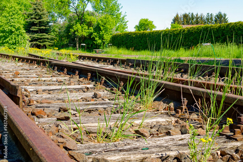 Disused and weathered railroad tracks that are gradually being overgrown by plants.