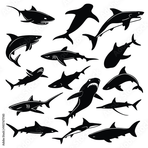 "Dynamic Shark Silhouette Collection Featuring Great White, Hammerhead, and Ocean Wildlife Scenes Vector Illustration"