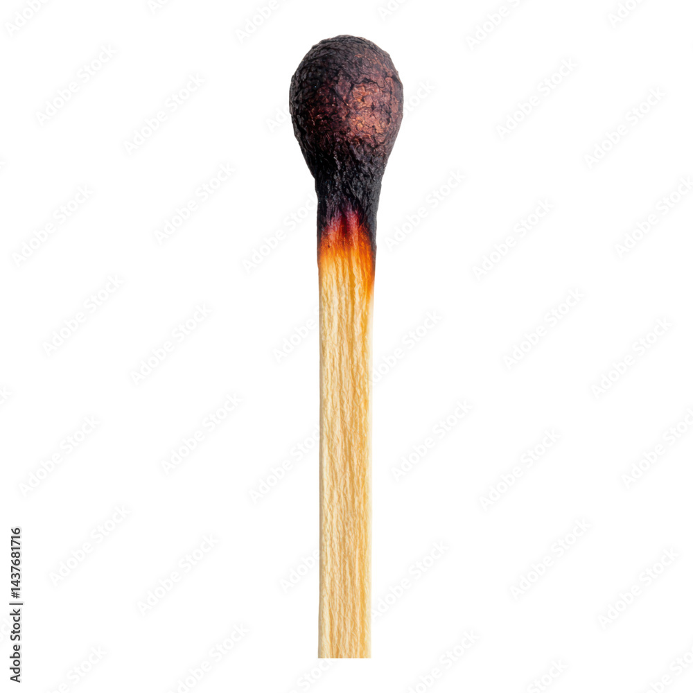 A single burnt matchstick with a charred, blackened tip and a partially scorched wooden stem. A single burnt matchstick with a charred, blackened tip and a partially scorched wooden stem.