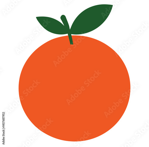 vector illustration of an orange fruit