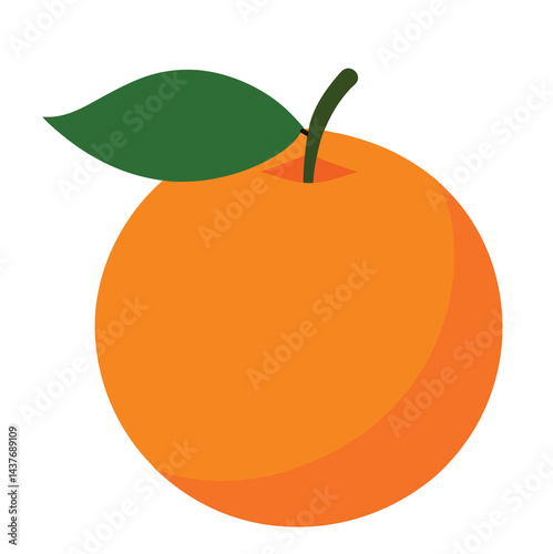 orange fruit vector illustration