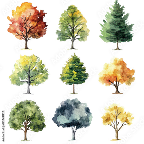 set of trees