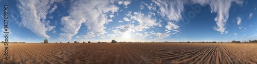 Expansive Field Under a Vast Sky