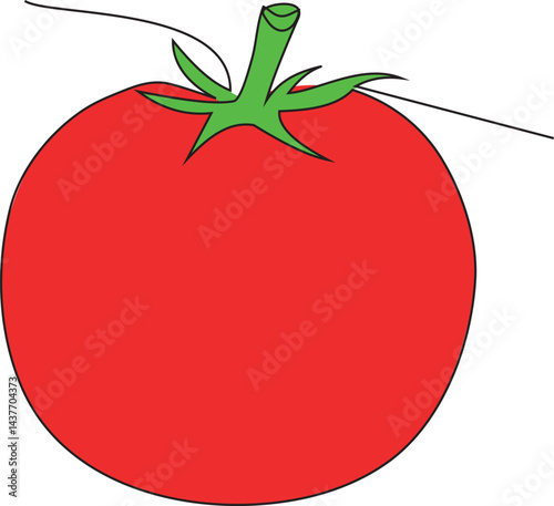 Continuous one line art red  tomato isolated on white background. Hand drawn tomato outline. Vector illustration.