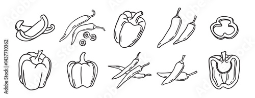 red hot chili peppers and bell peppers doodle hand drawn icon set. Outline drawing red hot chili peppers and bell peppers line clipart symbol collection