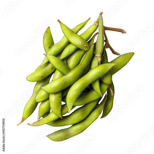 Transference of elements fresh edamame harvest local farm agriculture natural setting close-up view