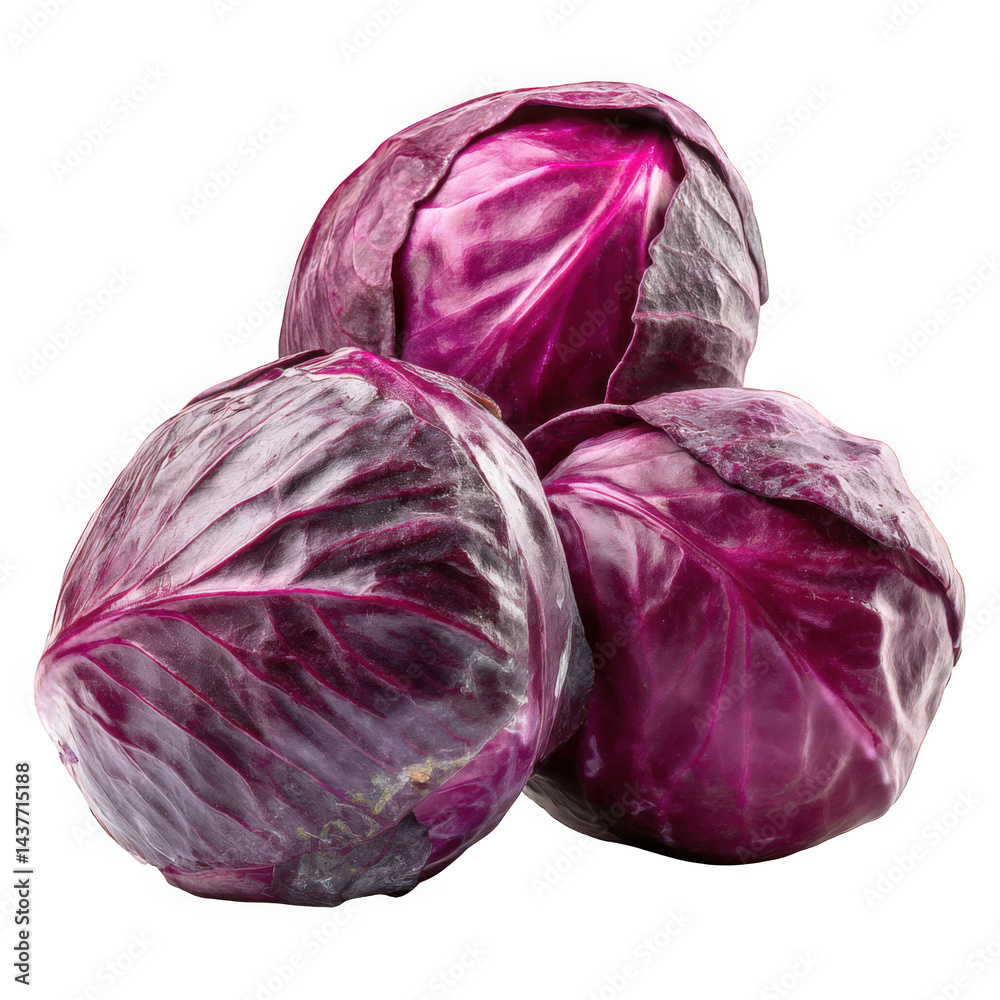 Obraz premium Transference of elements exploring red cabbage nutritional benefits kitchen food photography indoor culinary arts