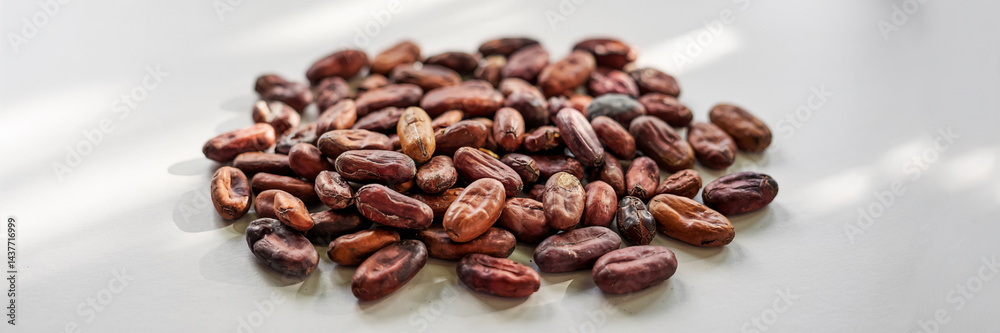 Raw Cacao Beans on White Background Natural Light Raw Cacao Beans on White Background Natural Light