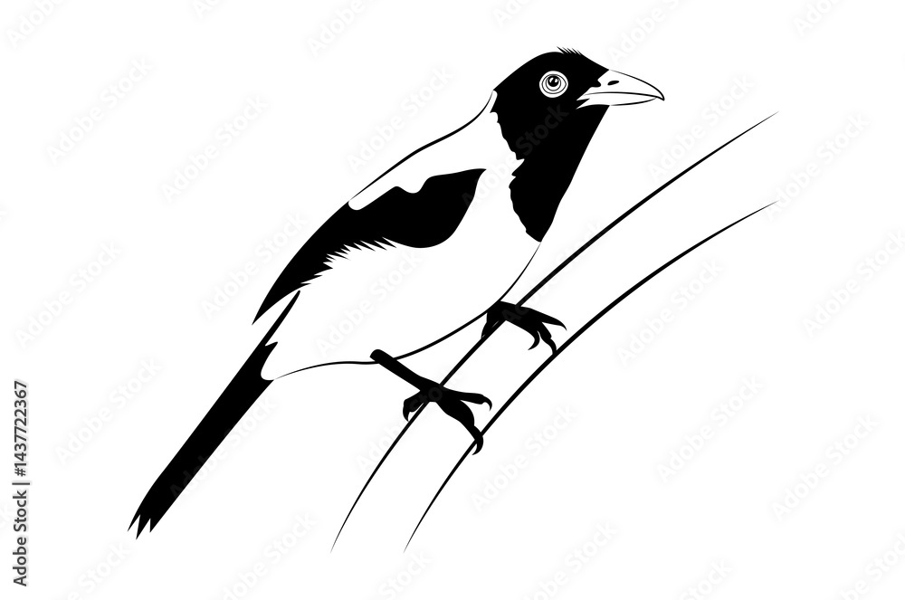Fototapeta premium Beautiful bird sparrow sitting on a branch digital line art isolated on white background - vector illustration