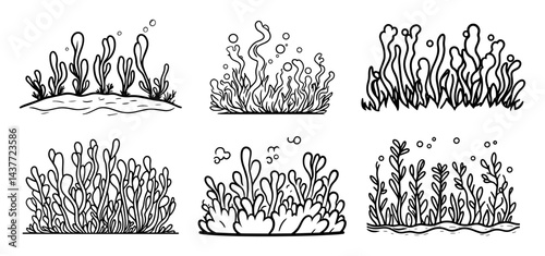 hand drawn seaweed and underwater plants collection black and white vector