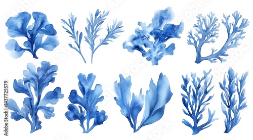 A collection of blue coral illustrations in watercolor style on a white background, featuring marine life elements and ocean-themed decorative designs.