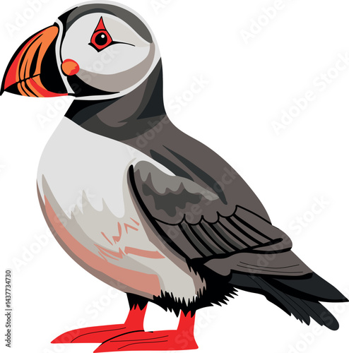 Puffin Bird