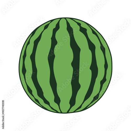 Watermelon  hand drawn vector illustration