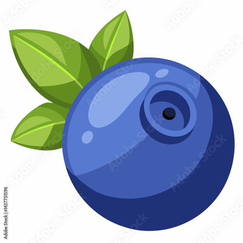 Organic blueberry isolated on white background