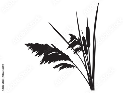  CATTAIL SILHOUETTE WHITE BACKGROUND