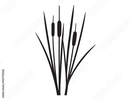  CATTAIL SILHOUETTE WHITE BACKGROUND
