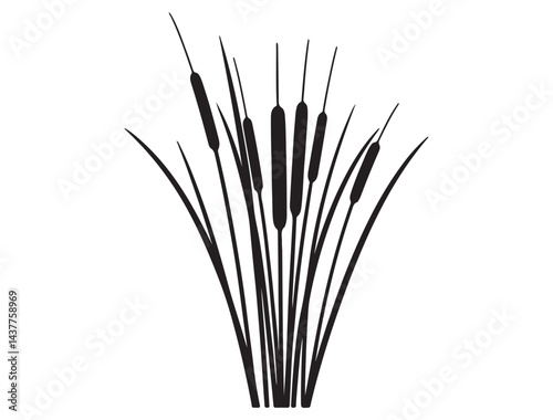  CATTAIL SILHOUETTE WHITE BACKGROUND