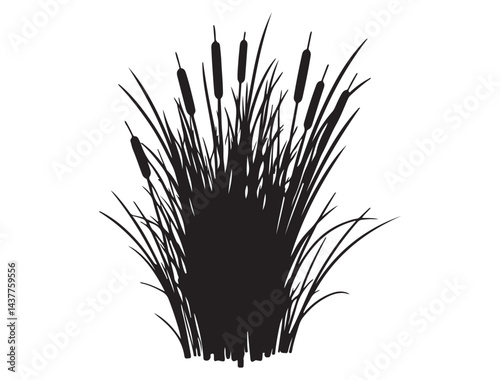  CATTAIL SILHOUETTE WHITE BACKGROUND