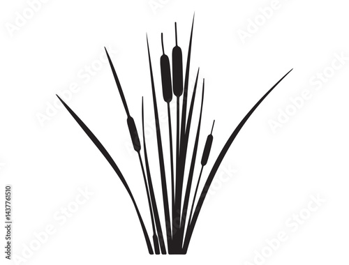  CATTAIL SILHOUETTE WHITE BACKGROUND